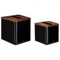 Martin Logan BalancedForce 212 Natural Cherry